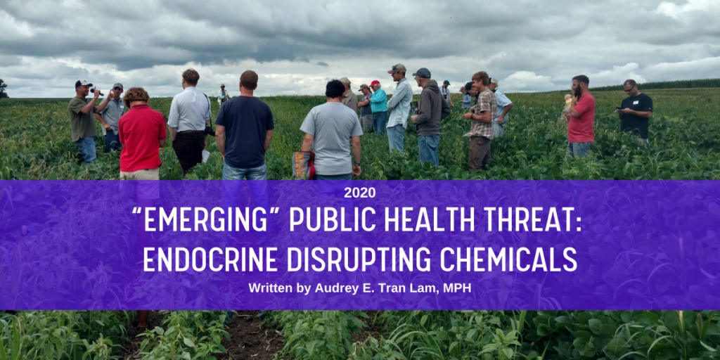 Emerging_ Public Health Threat - EDCs blog header