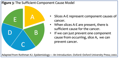 Figure 3: The Sufficient-Component Cause Model. (Image of a pie graph with 5 equal slices. Slice A is yellow and highlighted, Slices E and B are green, Slices D and C are blue.) All slices represent different component causes of cancer. When all slices are present, there is sufficient cause for the cancer. If we can just prevent one component cause from occurring, Slice A, we can prevent cancer.