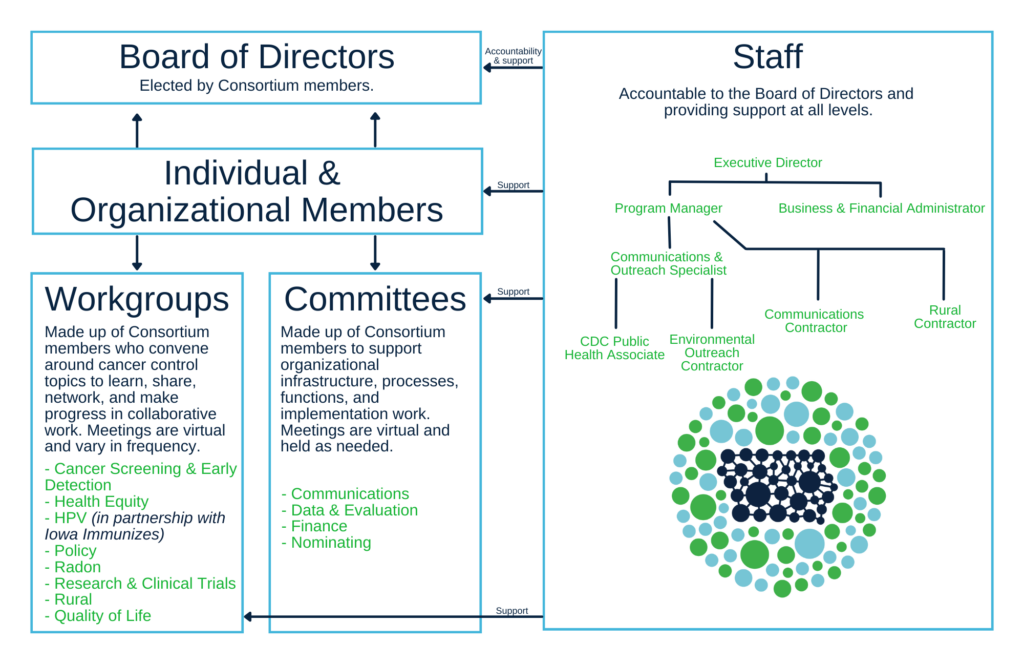 A chart showing how the Board of Directors, Individual & Organizational Members, Workgroups, Committees, and Staff work together. Staff is accountable to the Board of Directors and provides support at all levels (board, members, workgroups, and committees). The Executive Director manages the Program Manager and the Business & Financial Administrator. The Program Manager manages the Communications & Outreach Specialist, Communications Contractor, and Rural Contractor. The Communications & Outreach Specialist manages any CDC Public Health Associates and the Environmental Outreach Coordinator. The Board of Directors is elected by Consortium members, and Consortium members participate in the following workgroups: Cancer Screening and Early Detection, Health Equity, HPV (in partnership with Iowa Immunizes), Policy, Radon, Research & Clinical Trials, Rural, and Quality of Life. They also participate in the following committees: Communication, Data & Evaluation, Finance, and Nominating.